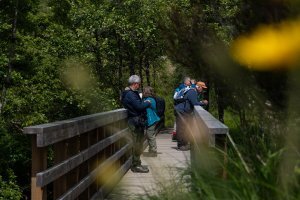 Rest and Restore: Relax, enjoy nature and (optional) environmental tasks image