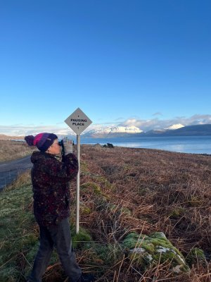 Retreat: What Next Lord? Discerning Your Next Steps image