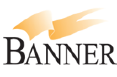 Banner Financial Services logo