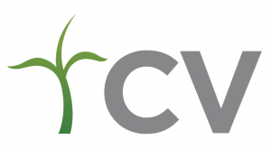 Christian Vision logo