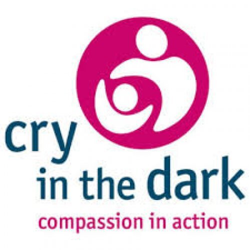 Cry in the Dark logo