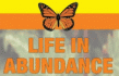 Life in Abundance (Ecuador) Trust logo