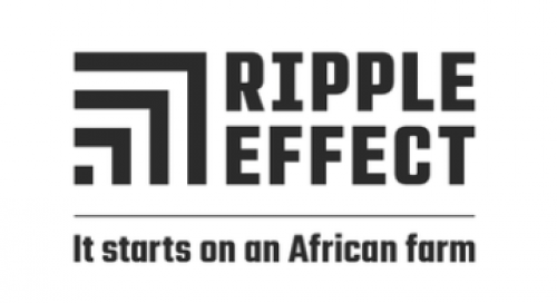 The Ripple Effect (Formerly Send a Cow) logo