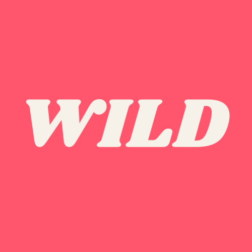 Wild SEO Agency