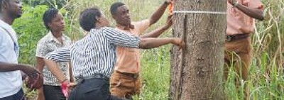 Carbon Offsetting