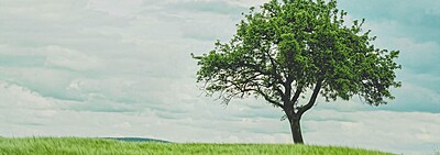 Rooted in God's Love