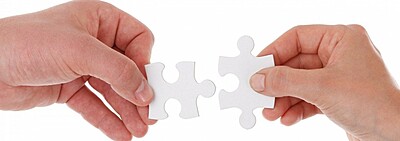 Collaboration & Partnership