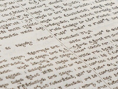 Language Training & Development