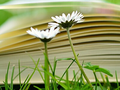 Devotionals - Mission focused