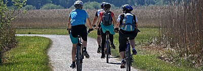 Organised Holidays - UK