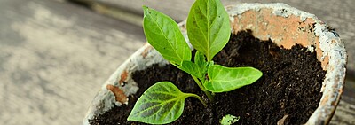 Christian Trusts and Grants for Individuals