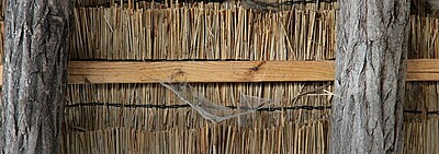 Office/Charity Insurance