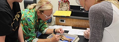 Christian & Mission Schools (Non-UK)