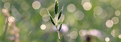 Christian Pastoral Services