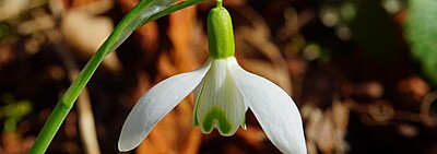 Mission Related Pastoral Advice