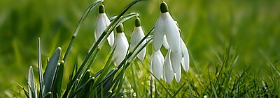 General Christian Counselling and Coaching Services