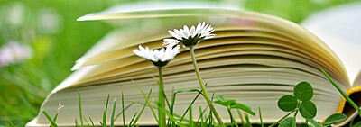 Travelling/Going Books