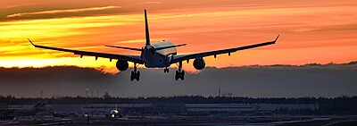 Online Flight Search Facilities