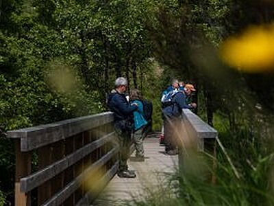 Rest and Restore: Relax, enjoy nature and (optional) environmental tasks